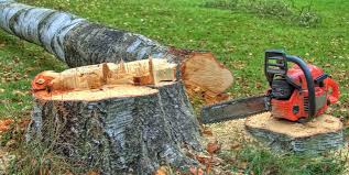 Best Firewood Processing and Delivery  in Bonny Doon, CA