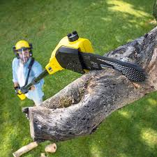 Best Pest Control for Lawns  in Bonny Doon, CA