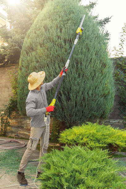 Best Lawn Watering Services  in Bonny Doon, CA